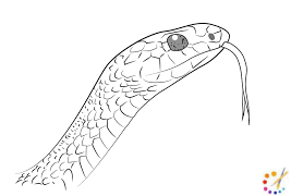 how to draw snake