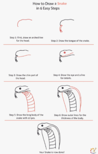 How to Draw A Snake Step By Step - For Kids & Beginners