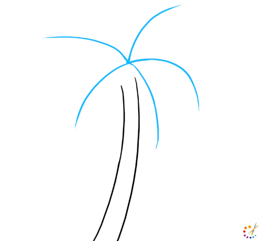 How to draw palm tree