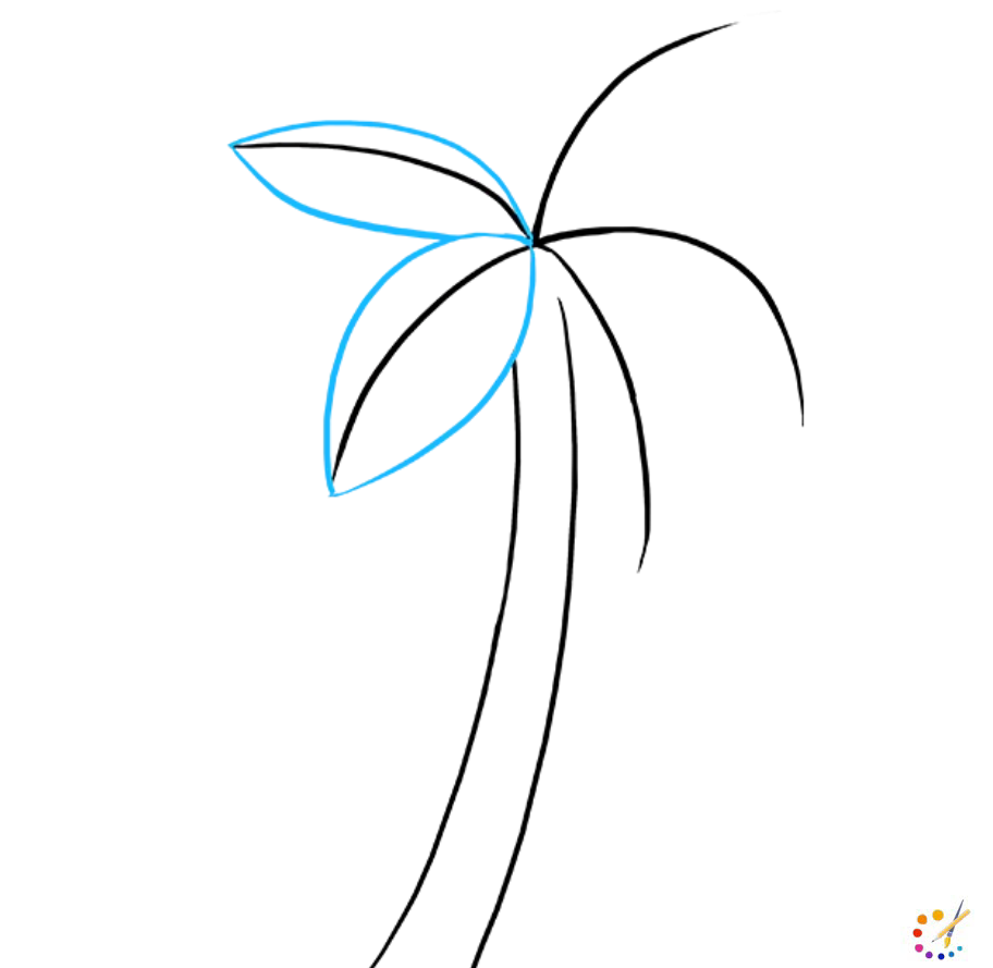 How to draw palm tree