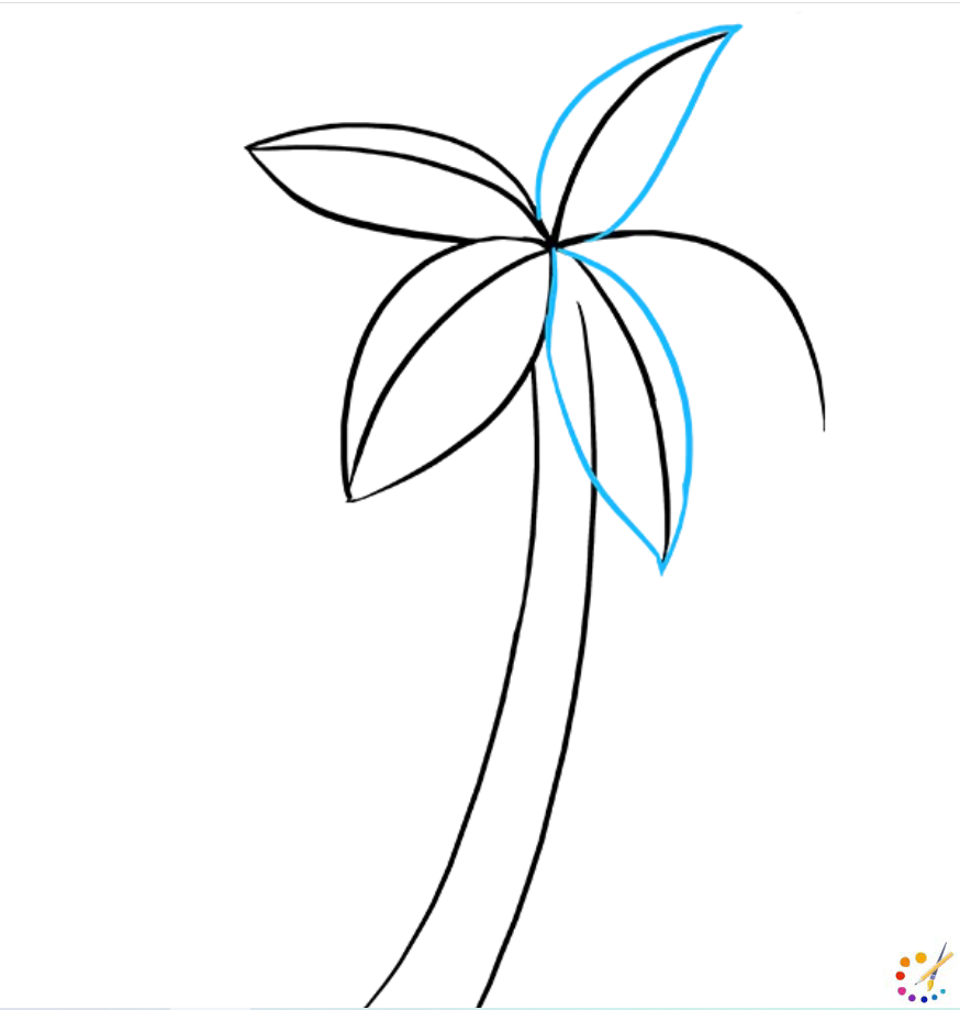 How to draw palm tree