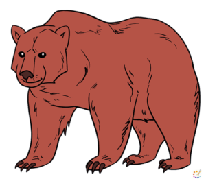 How to draw Bear