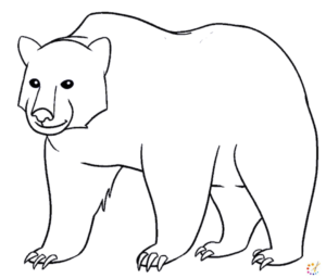 How to draw Bear