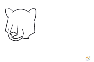 How to draw Bear