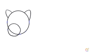 How to draw Bear