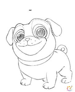 How to draw a puppy