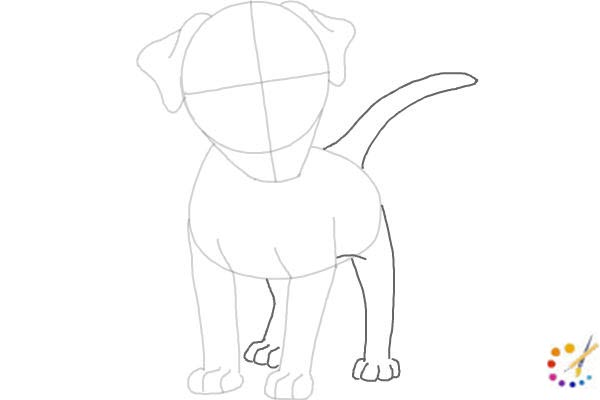 How to draw a puppy