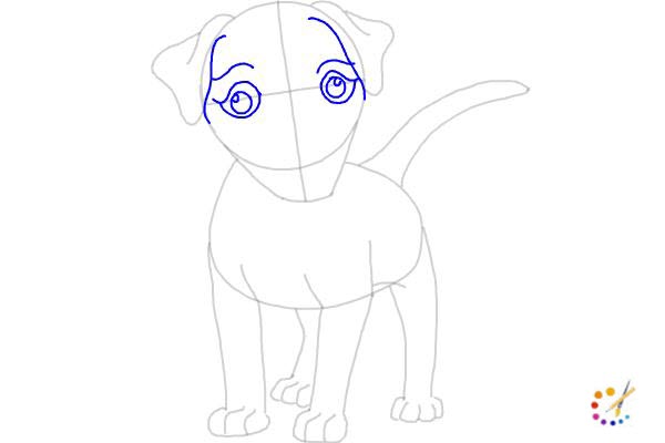 How to draw a puppy