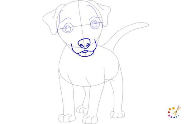 How to draw a puppy