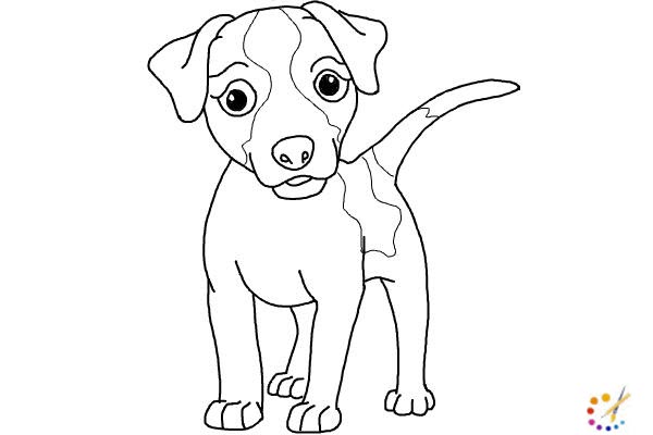 How to draw a puppy