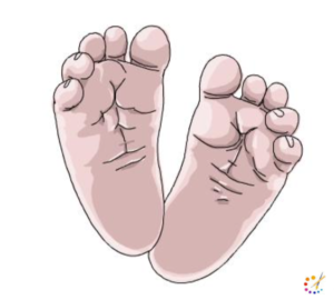 How to draw baby feet