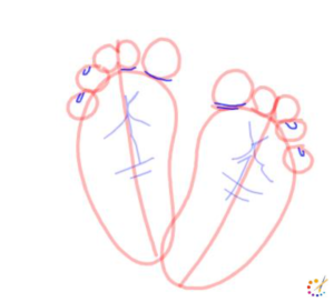 How to draw baby feet