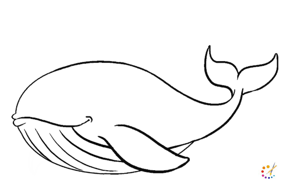 How to draw whale