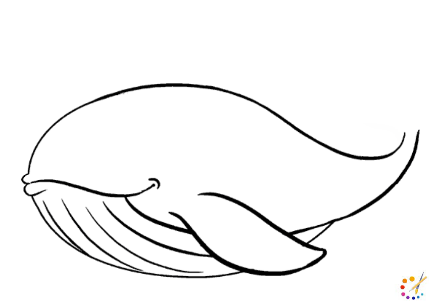 How to draw whale