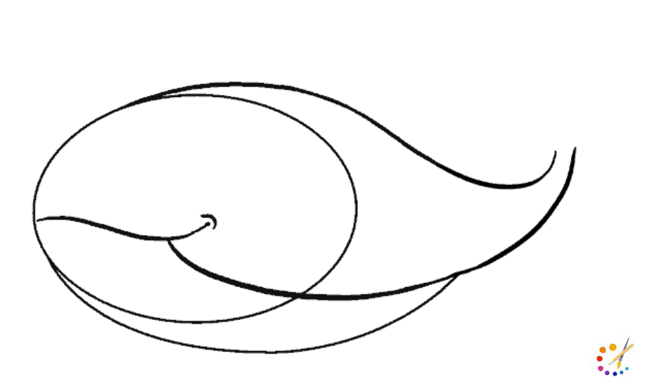 How to draw whale