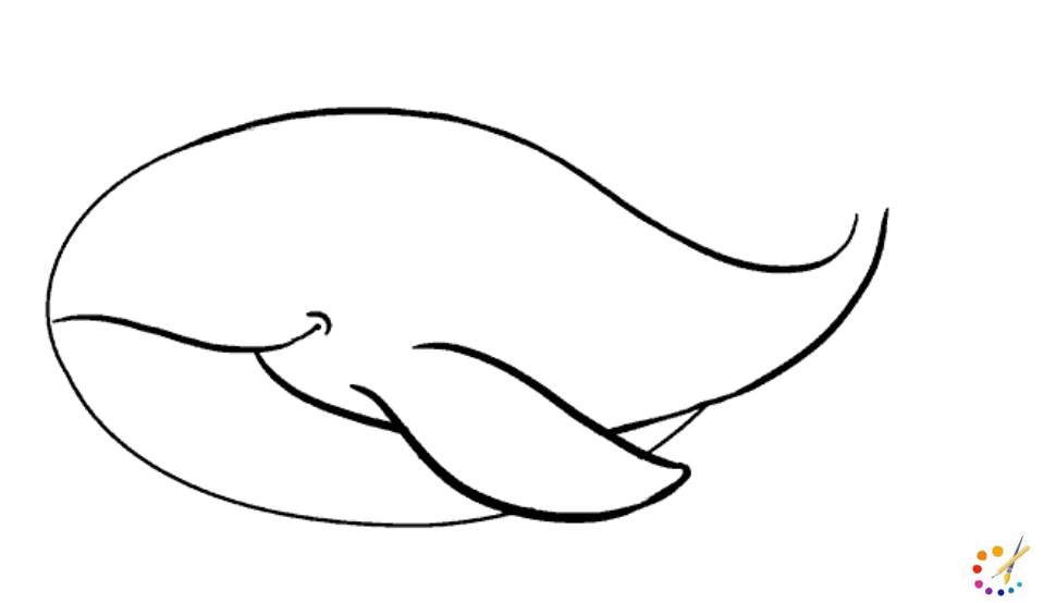 How to draw whale