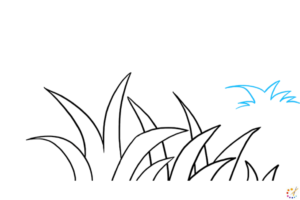 How to draw grass