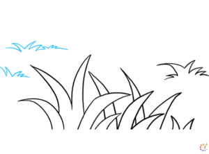 How to draw grass