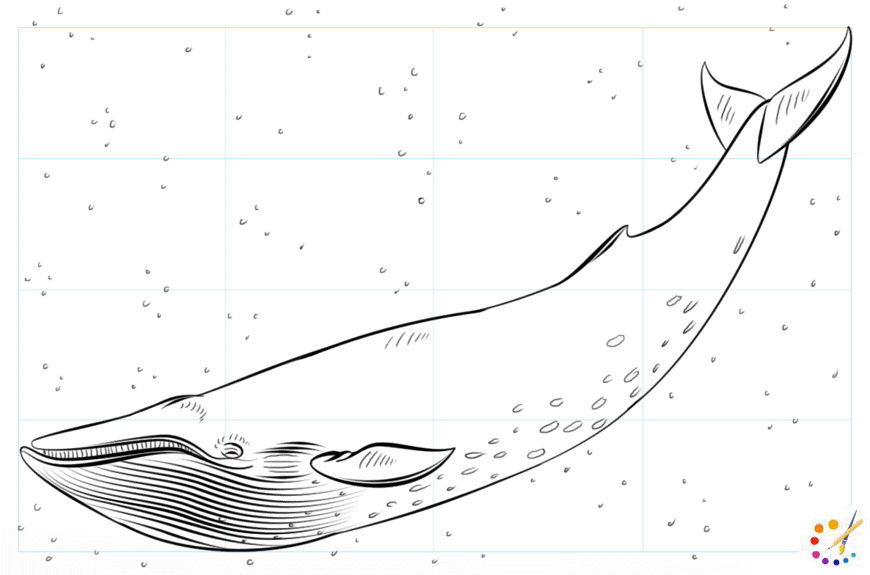 How to Draw whale