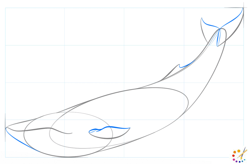 How to Draw whale