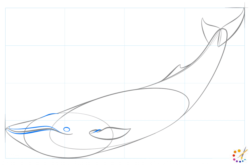 How to Draw whale