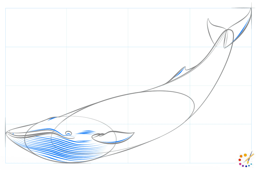 How to Draw whale