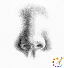 How to draw Nose
