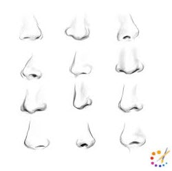 How to draw Nose