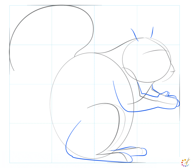 How to draw squirrel