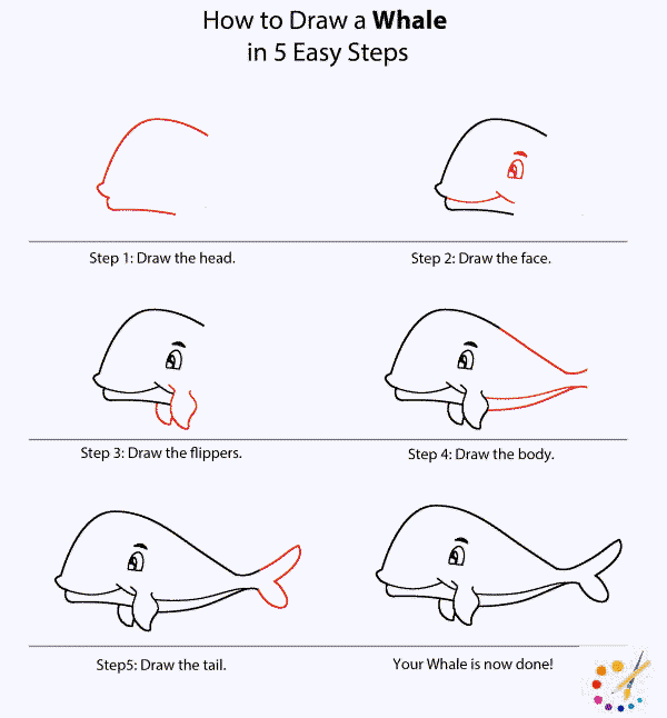 How to Draw whale