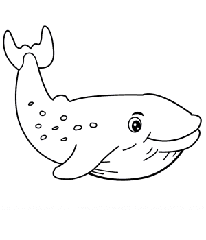 How to draw whale