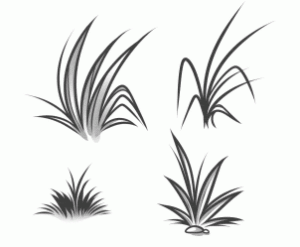 How To Draw Grass