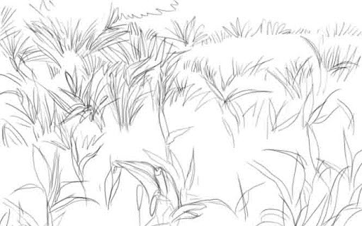 How To Draw Grass