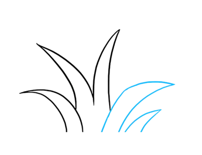 How to draw grass