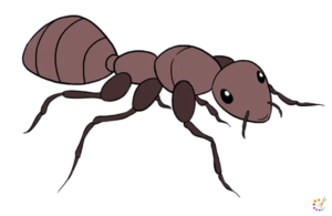 How to draw an ant