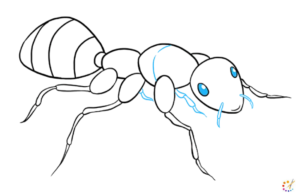 How to draw an ant