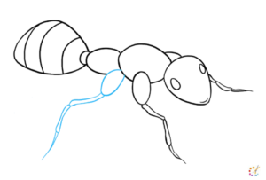 How to draw an ant