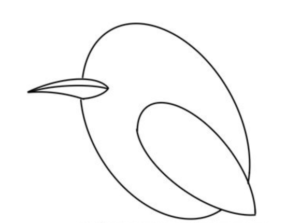 How to draw Kingfisher