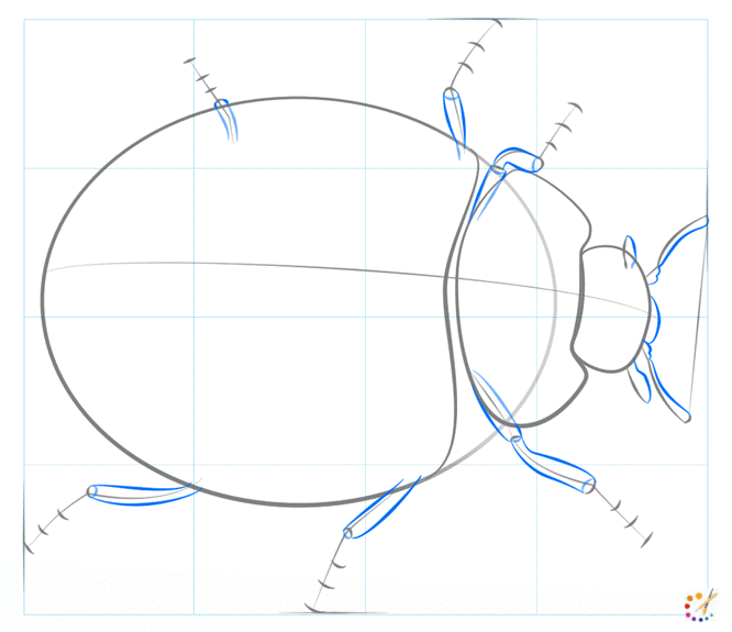How to Draw a Ladybug Step By Step – For Kids & Beginners