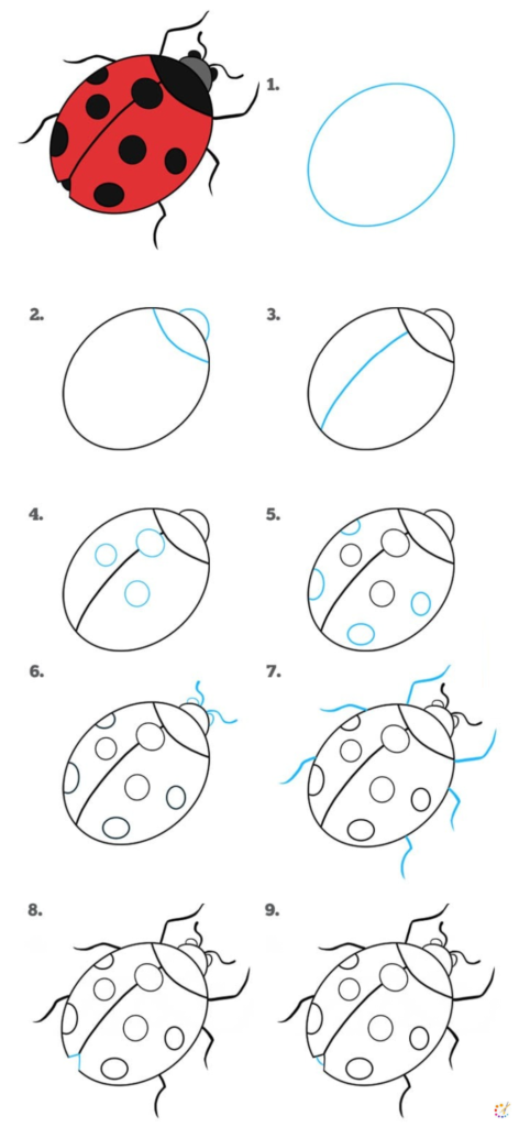 How to draw lady bug