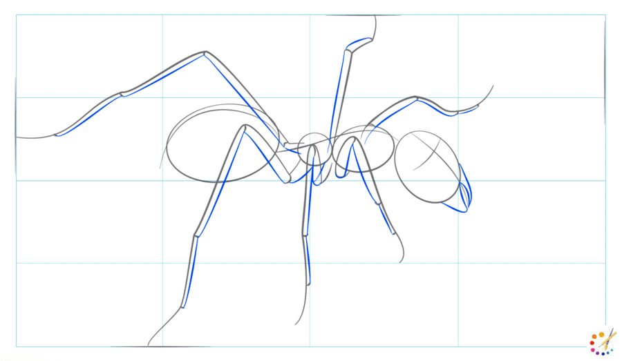 How to draw an ant