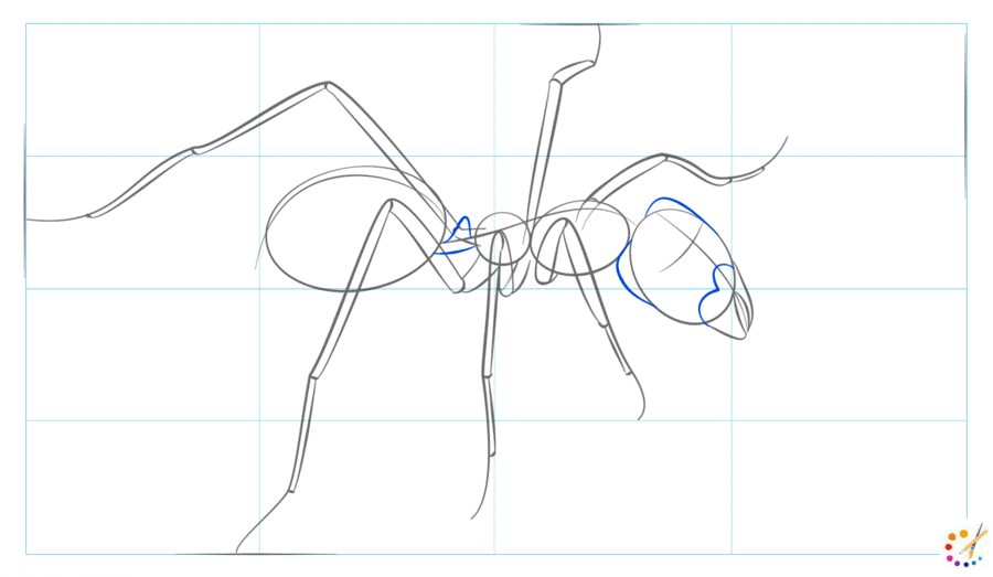 How to draw an ant