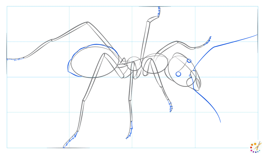 How to draw an ant