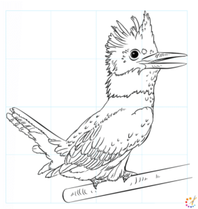 How to draw Kingfisher