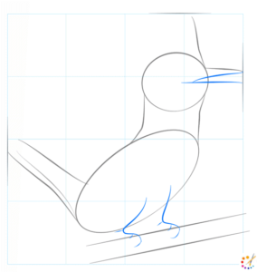 How to draw Kingfisher