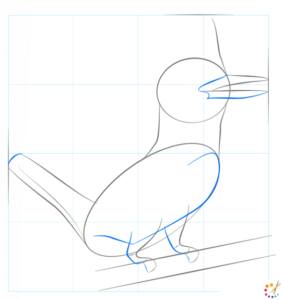 How to draw Kingfisher