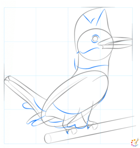 How to draw Kingfisher