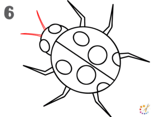 How to draw a ladybug