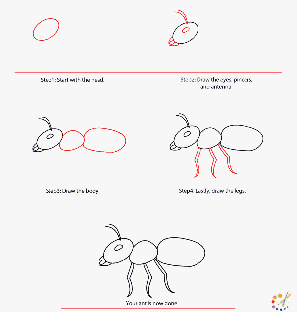 How to draw an ant