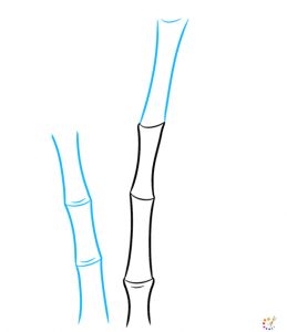 How to draw bamboo